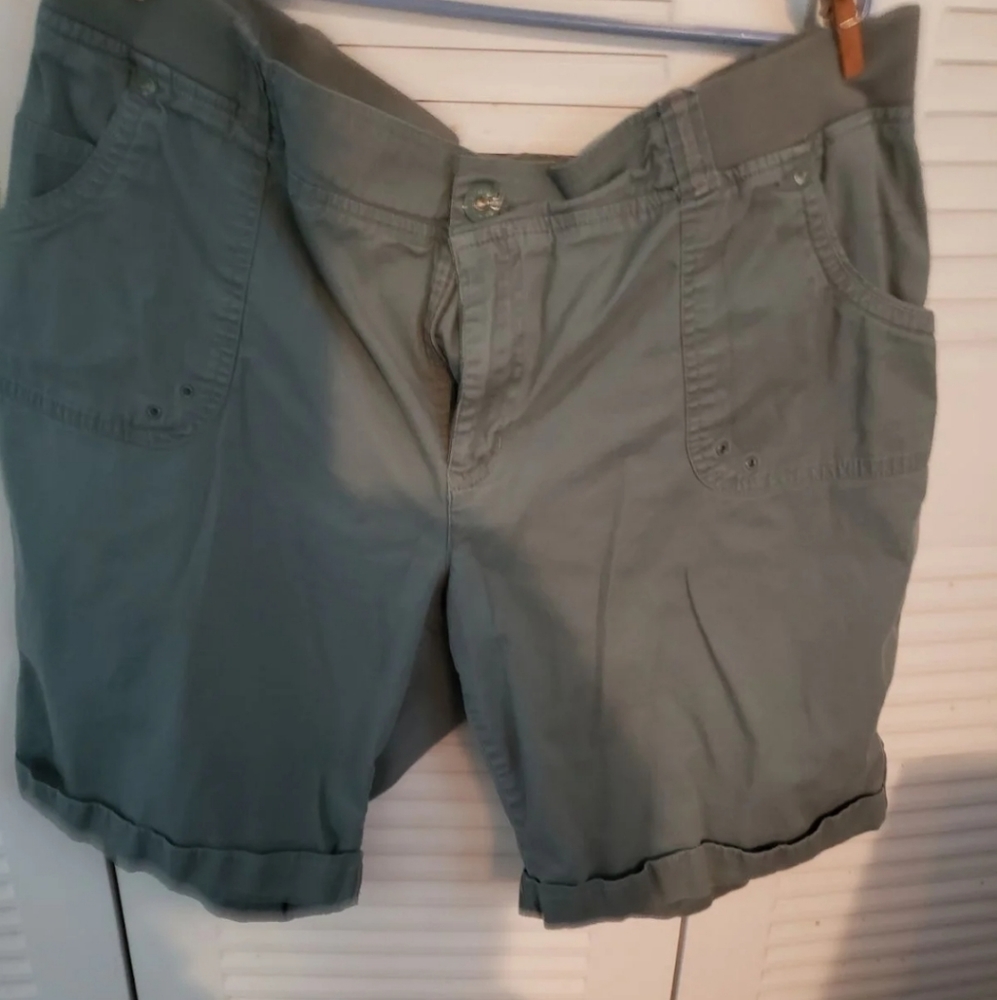 Gloria Vanderbilt shorts 2x